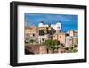 Roman Forum, Rome, Italy-David Ionut-Framed Photographic Print