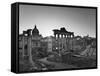 Roman Forum, Rome, Lazio, Italy, Europe-Francesco Iacobelli-Framed Stretched Canvas