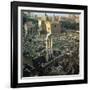 Roman Forum Seen from the Palatine Hill, 5th Century Bc-CM Dixon-Framed Photographic Print