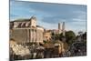 Roman Forum, UNESCO World Heritage Site, and the Palatine Hill, Rome, Lazio, Italy, Europe-Carlo Morucchio-Mounted Photographic Print