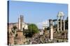 Roman Forum with Temple of Vesta-James Emmerson-Stretched Canvas