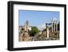 Roman Forum with Temple of Vesta-James Emmerson-Framed Photographic Print