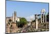 Roman Forum with Temple of Vesta-James Emmerson-Mounted Photographic Print