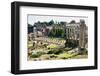 Roman Forum with the Temple of Saturn, Rome, UNESCO World Heritage Site, Lazio, Italy, Europe-Nico Tondini-Framed Photographic Print