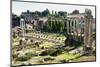 Roman Forum with the Temple of Saturn, Rome, UNESCO World Heritage Site, Lazio, Italy, Europe-Nico Tondini-Mounted Photographic Print