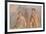 Roman Fresco, Io and Argos, from House of Meleager-Eleanor Scriven-Framed Photographic Print