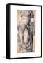 Roman Goddess, Venus Genetrix, C1518-1574-Maerten van Heemskerck-Framed Stretched Canvas
