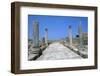 Roman Gymnasium,  c.4th century BC-Unknown-Framed Photographic Print