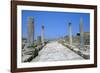 Roman Gymnasium,  c.4th century BC-Unknown-Framed Photographic Print