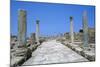 Roman Gymnasium,  c.4th century BC-Unknown-Mounted Photographic Print