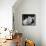 Roman Holiday-null-Framed Stretched Canvas displayed on a wall