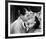 Roman Holiday-null-Framed Photo