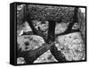 Roman Hypocaust-null-Framed Stretched Canvas