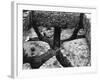 Roman Hypocaust-null-Framed Photographic Print