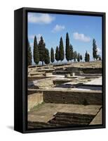 Roman Italica, Birthplace of Trajan, Seville, Spain-Sheila Terry-Framed Stretched Canvas