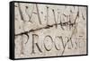 Roman Lettering in Herculaneum, UNESCO World Heritage Site, Campania, Italy, Europe-Martin Child-Framed Stretched Canvas