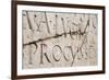 Roman Lettering in Herculaneum, UNESCO World Heritage Site, Campania, Italy, Europe-Martin Child-Framed Photographic Print