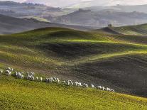 Pastoral-Roman Lipinski ©-Stretched Canvas