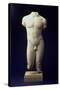 Roman Male Torso of a Youthful Figure, after a Polyclitan Bronze Original of the 5th Century BC-null-Stretched Canvas