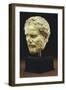 Roman Marble Portrait of Demos- Thenes, Early Imperial, circa 1st Century AD-null-Framed Giclee Print