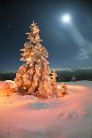 Frosty Winter Night of Christening - Magic Light Fairy Lights on a Snowy Background in Alpine Spruc-Roman Mikhailiuk-Photographic Print