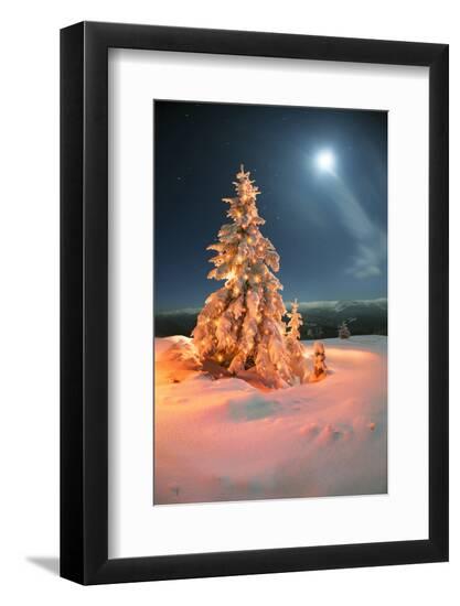 Premium Photographic Print, , large
