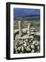 Roman Milestones and Views of Holy Land, Memorial of Moses, Mount Nebo, Jordan-null-Framed Giclee Print