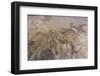 Roman Mosaic, Battle Between Alexander and Darius, from Pompeii House of the Faun-Eleanor Scriven-Framed Photographic Print