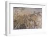 Roman Mosaic, Battle Between Alexander and Darius, from Pompeii House of the Faun-Eleanor Scriven-Framed Photographic Print