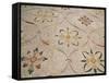 Roman Mosaic, Floral Decoratio, Ostia Antica, Italy-Prisma Archivo-Framed Stretched Canvas