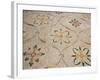 Roman Mosaic, Floral Decoratio, Ostia Antica, Italy-Prisma Archivo-Framed Photographic Print