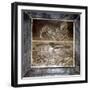 Roman mosaic of a cat with ducks, Pompeii, Italy. Artist: Unknown-Unknown-Framed Giclee Print