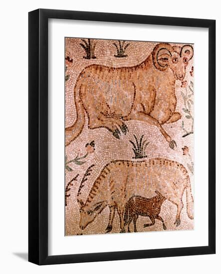 Roman Mosaic of a Ram, a Cow and Calf, 4th Century AD-null-Framed Giclee Print