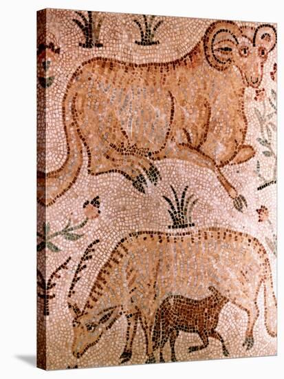 Roman Mosaic of a Ram, a Cow and Calf, 4th Century AD-null-Stretched Canvas