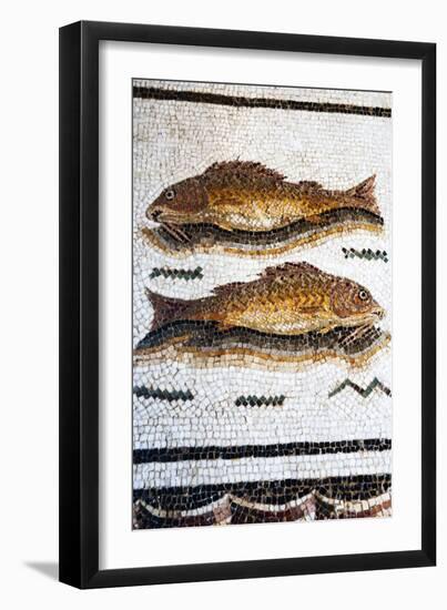 Roman Mosaic with Fish Swimming, Carthage, Tunis, Tunisia, North Africa-Nico Tondini-Framed Premium Photographic Print