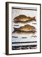 Roman Mosaic with Fish Swimming, Carthage, Tunis, Tunisia, North Africa-Nico Tondini-Framed Photographic Print