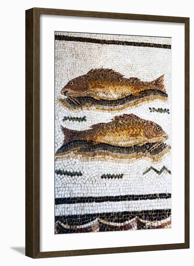 Roman Mosaic with Fish Swimming, Carthage, Tunis, Tunisia, North Africa-Nico Tondini-Framed Photographic Print