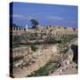 Roman Odeon Concert Venue and Hellenistic and Roman Gymnasium in Salamis, North Cyprus-Christopher Rennie-Stretched Canvas