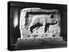 Roman Pig Carving-null-Stretched Canvas