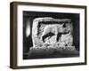 Roman Pig Carving-null-Framed Photographic Print
