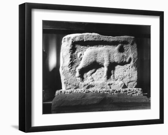 Roman Pig Carving-null-Framed Photographic Print