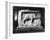 Roman Pig Carving-null-Framed Photographic Print