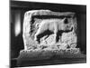 Roman Pig Carving-null-Mounted Photographic Print