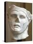 Roman Portrait of Seleucus I Nicator-null-Stretched Canvas