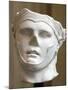 Roman Portrait of Seleucus I Nicator-null-Mounted Photographic Print