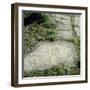 Roman Relief-null-Framed Photographic Print