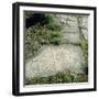 Roman Relief-null-Framed Photographic Print