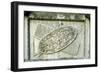 Roman Relief-null-Framed Photographic Print