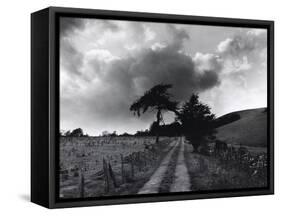 Roman Road, Ceirieg (Vintage) Drovers Roads, Wales-Fay Godwin-Framed Stretched Canvas