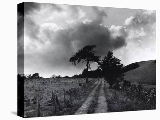 Roman Road, Ceirieg (Vintage) Drovers Roads, Wales-Fay Godwin-Stretched Canvas